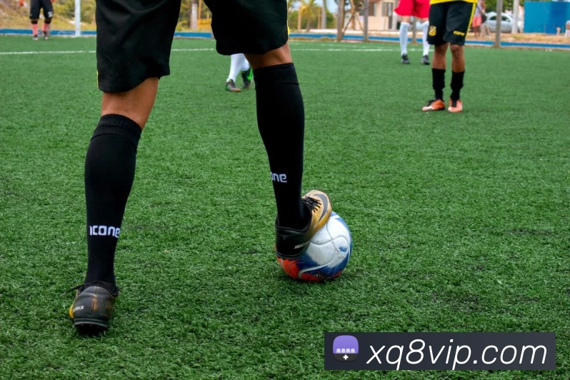 App Interface Preview